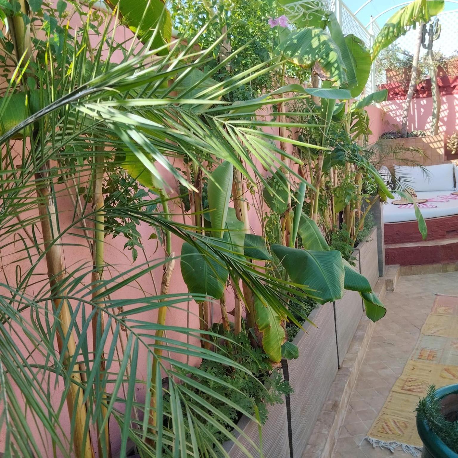 Riad Laith (Adults Only) Марракеш Экстерьер фото